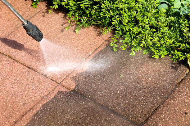 Best Affordable Pressure Washing  in North Lynnwood, WA